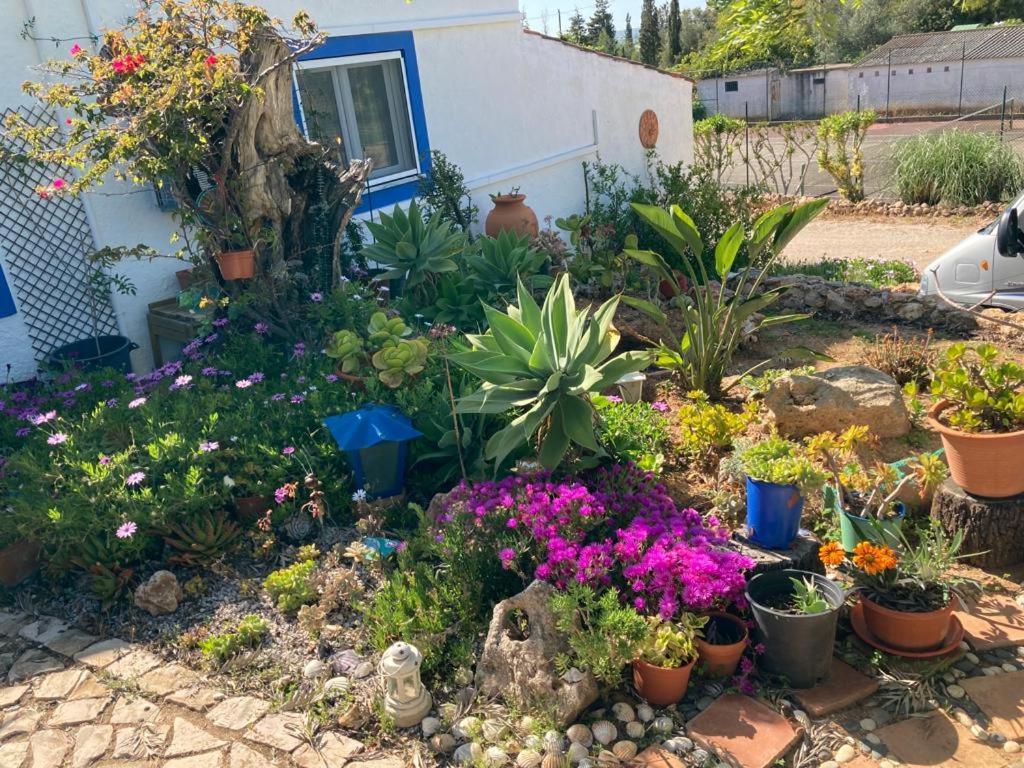 Casa Aleg Villa Albufeira Buitenkant foto